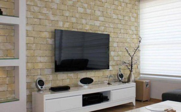  電視機無聲音怎么修