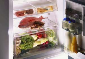 冰箱保養事項有哪些 冰箱保養事項介紹